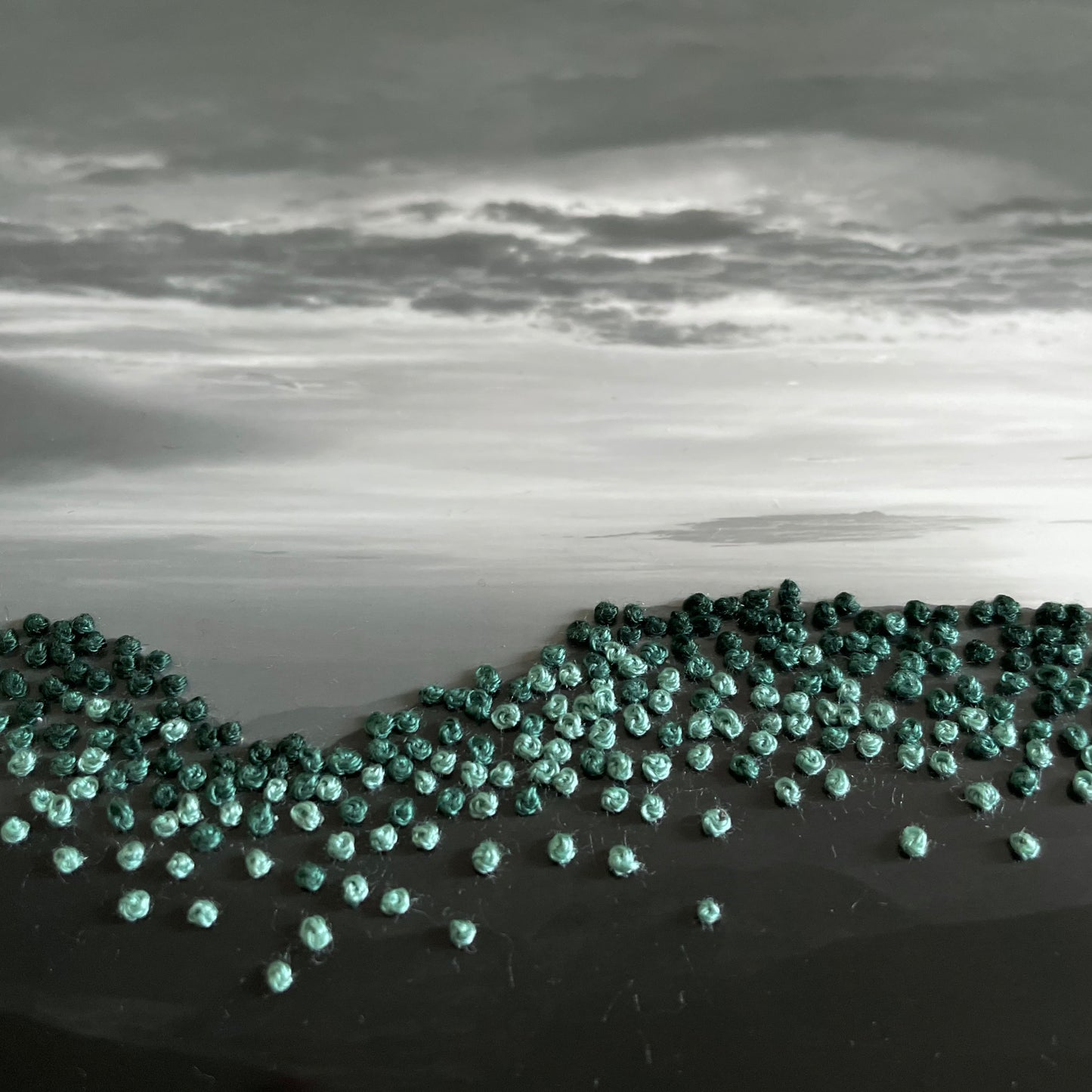 Broderie photo en noir et blanc