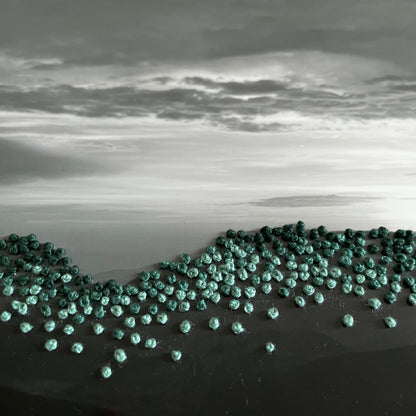 Broderie photo en noir et blanc